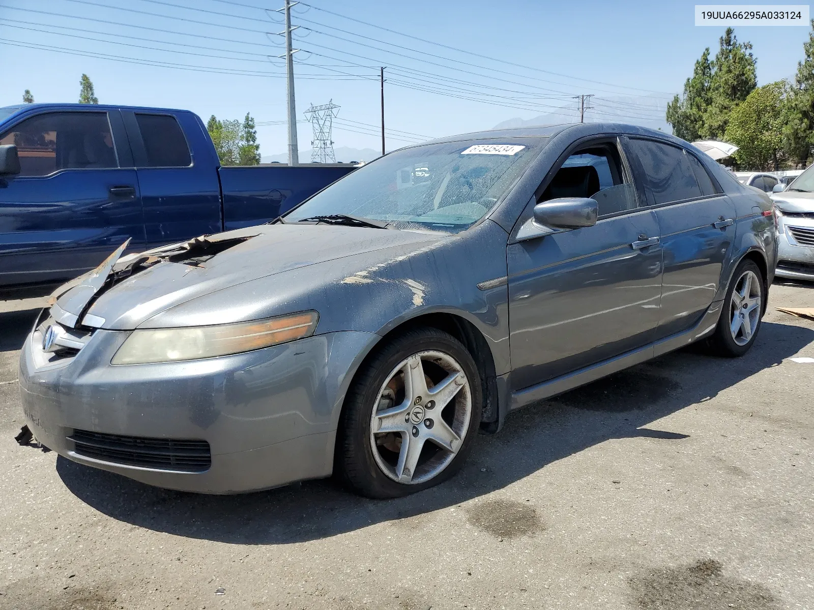 2005 Acura Tl VIN: 19UUA66295A033124 Lot: 67345434