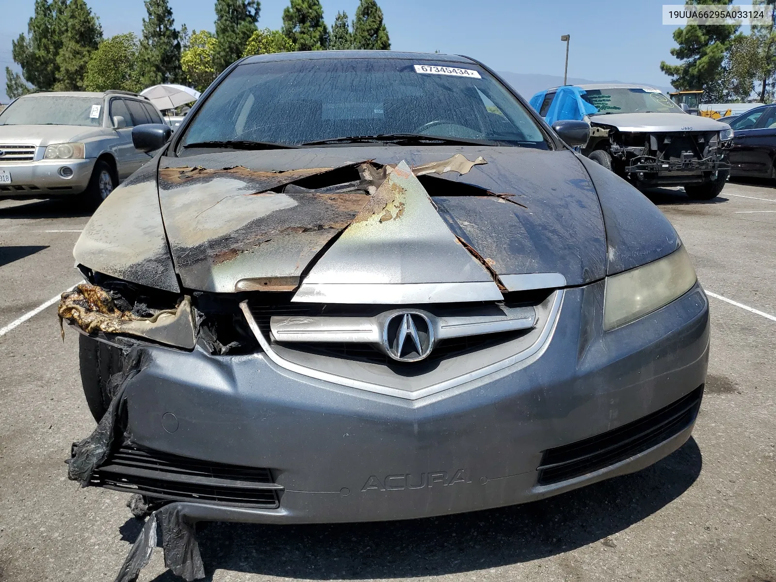 19UUA66295A033124 2005 Acura Tl