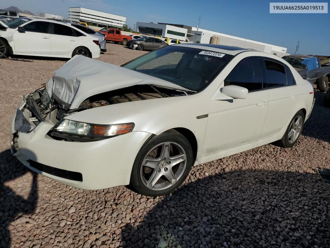 2005 Acura Tl VIN: 19UUA66255A019513 Lot: 70347224