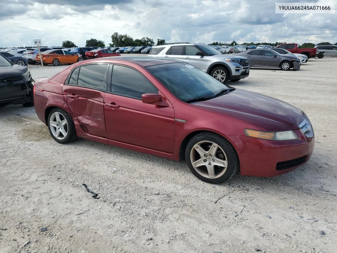 2005 Acura Tl VIN: 19UUA66245A071666 Lot: 70991974