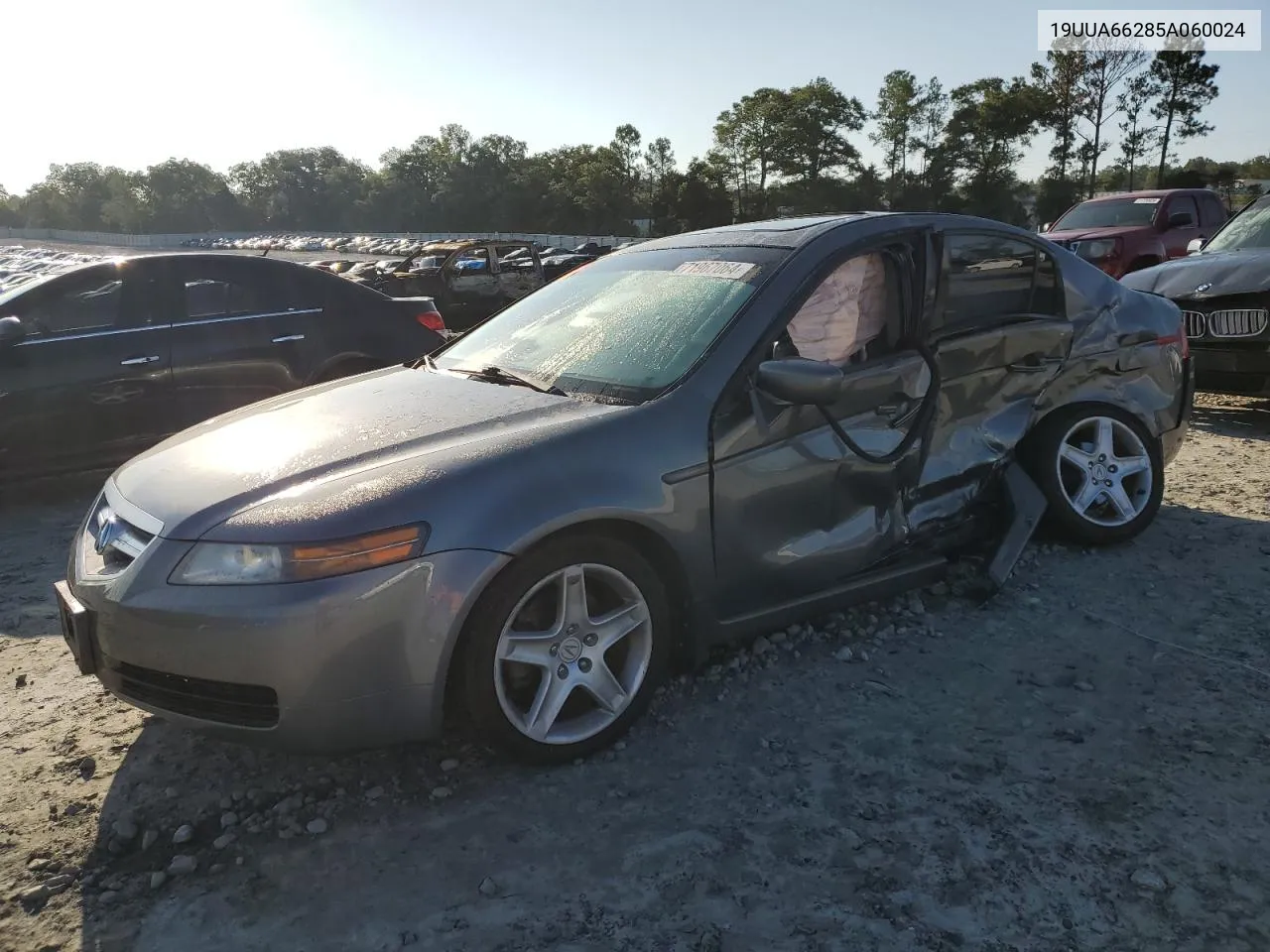 2005 Acura Tl VIN: 19UUA66285A060024 Lot: 71967064