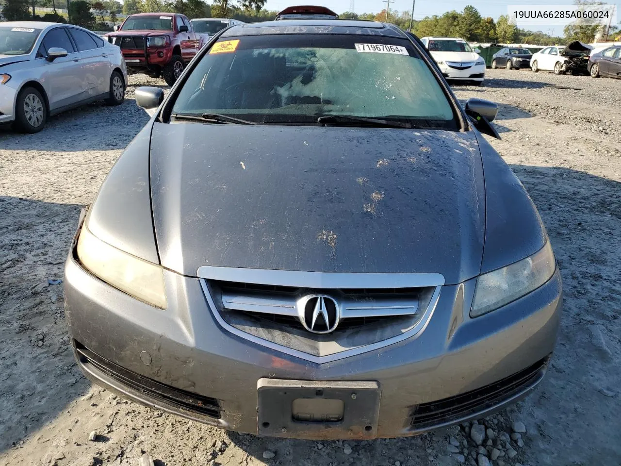 2005 Acura Tl VIN: 19UUA66285A060024 Lot: 71967064