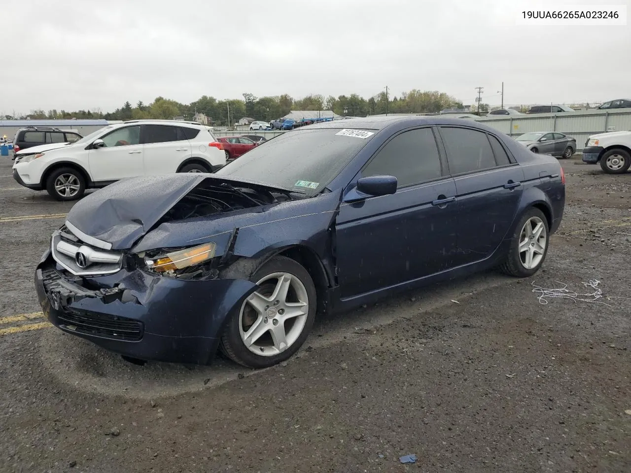 2005 Acura Tl VIN: 19UUA66265A023246 Lot: 72767404