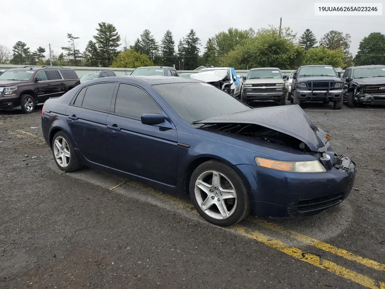 2005 Acura Tl VIN: 19UUA66265A023246 Lot: 72767404