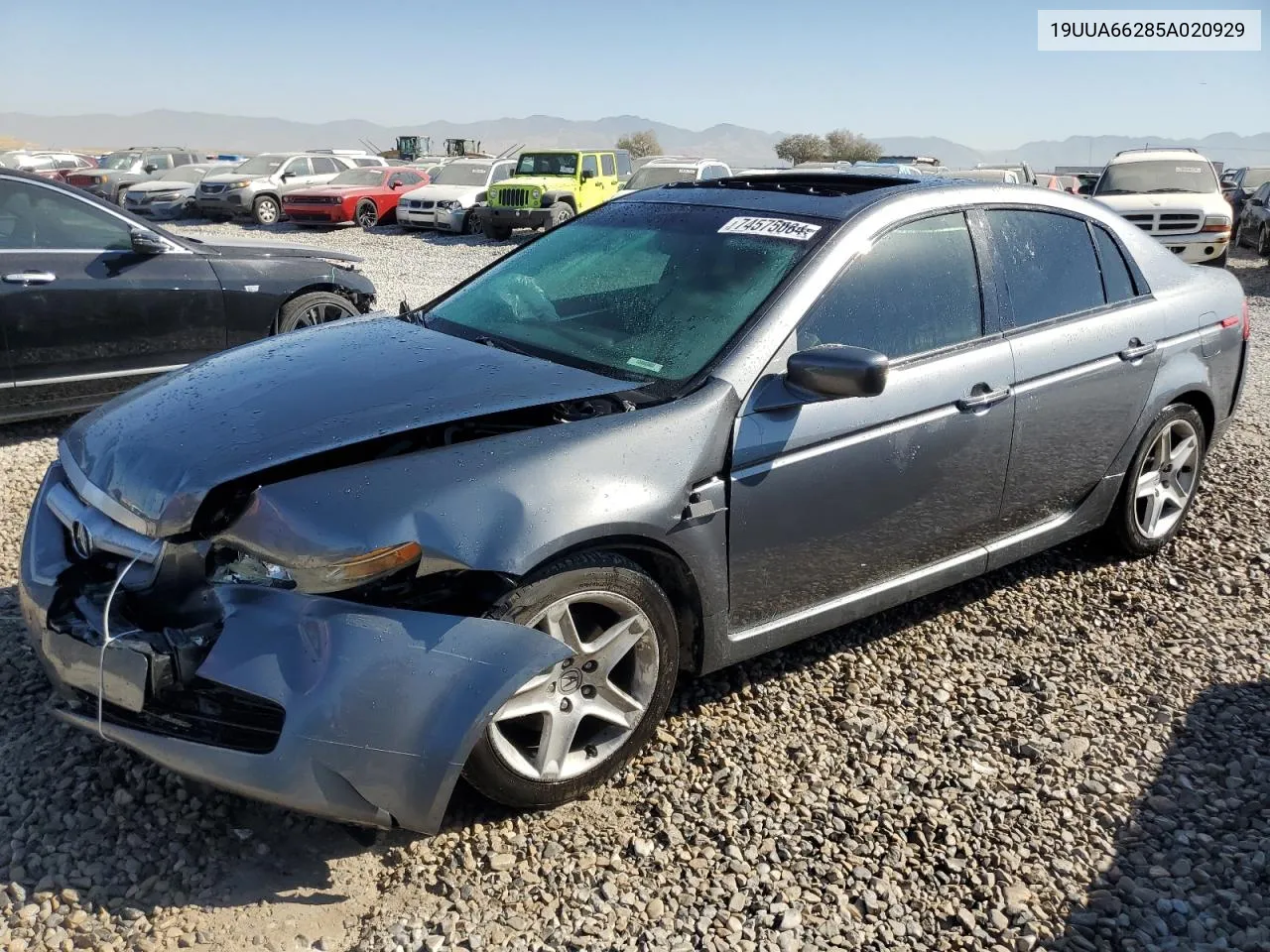 2005 Acura Tl VIN: 19UUA66285A020929 Lot: 74575084