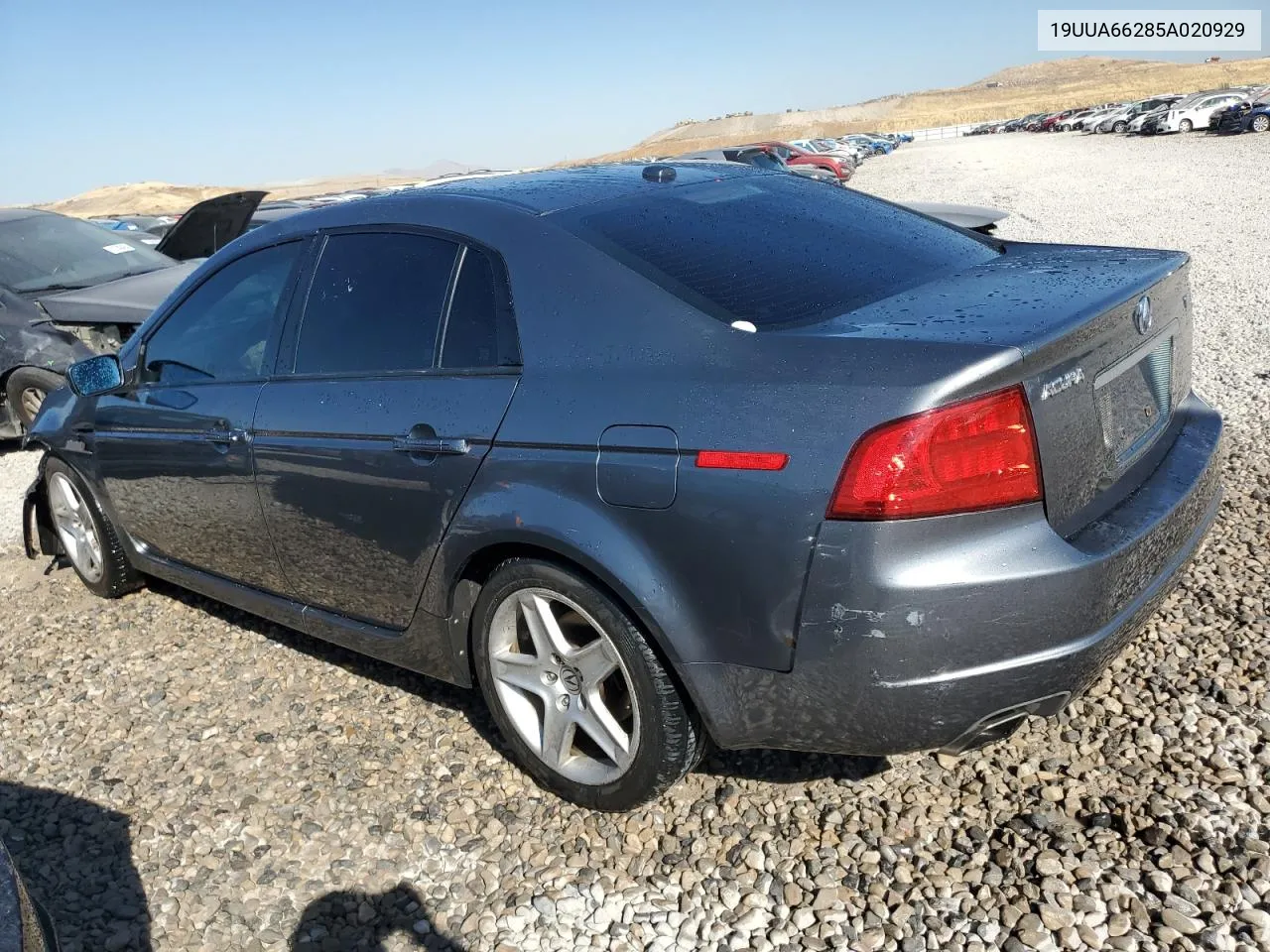 2005 Acura Tl VIN: 19UUA66285A020929 Lot: 74575084