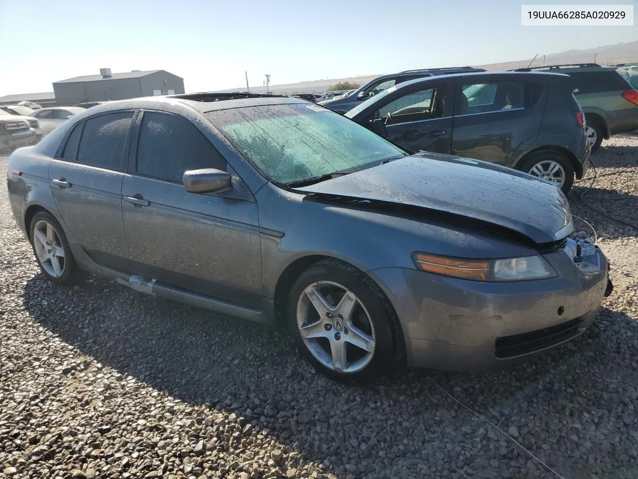 2005 Acura Tl VIN: 19UUA66285A020929 Lot: 74575084