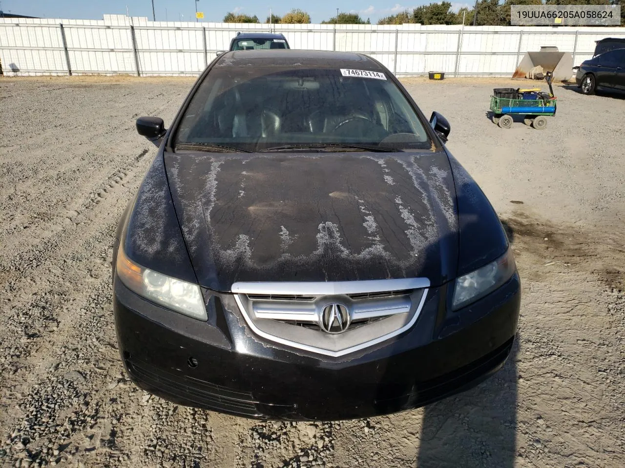 2005 Acura Tl VIN: 19UUA66205A058624 Lot: 74673114