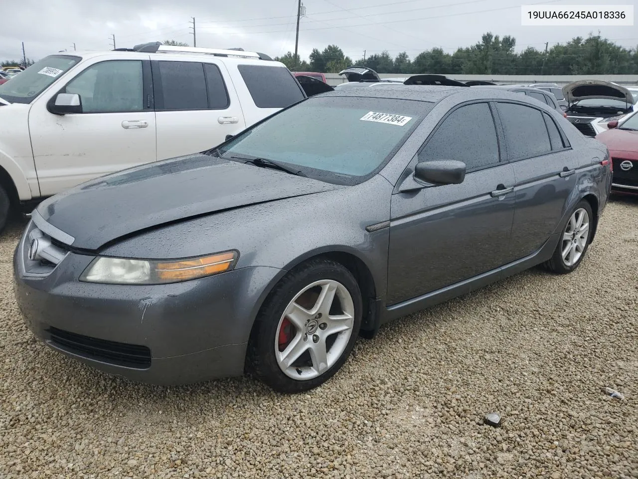 2005 Acura Tl VIN: 19UUA66245A018336 Lot: 74877384