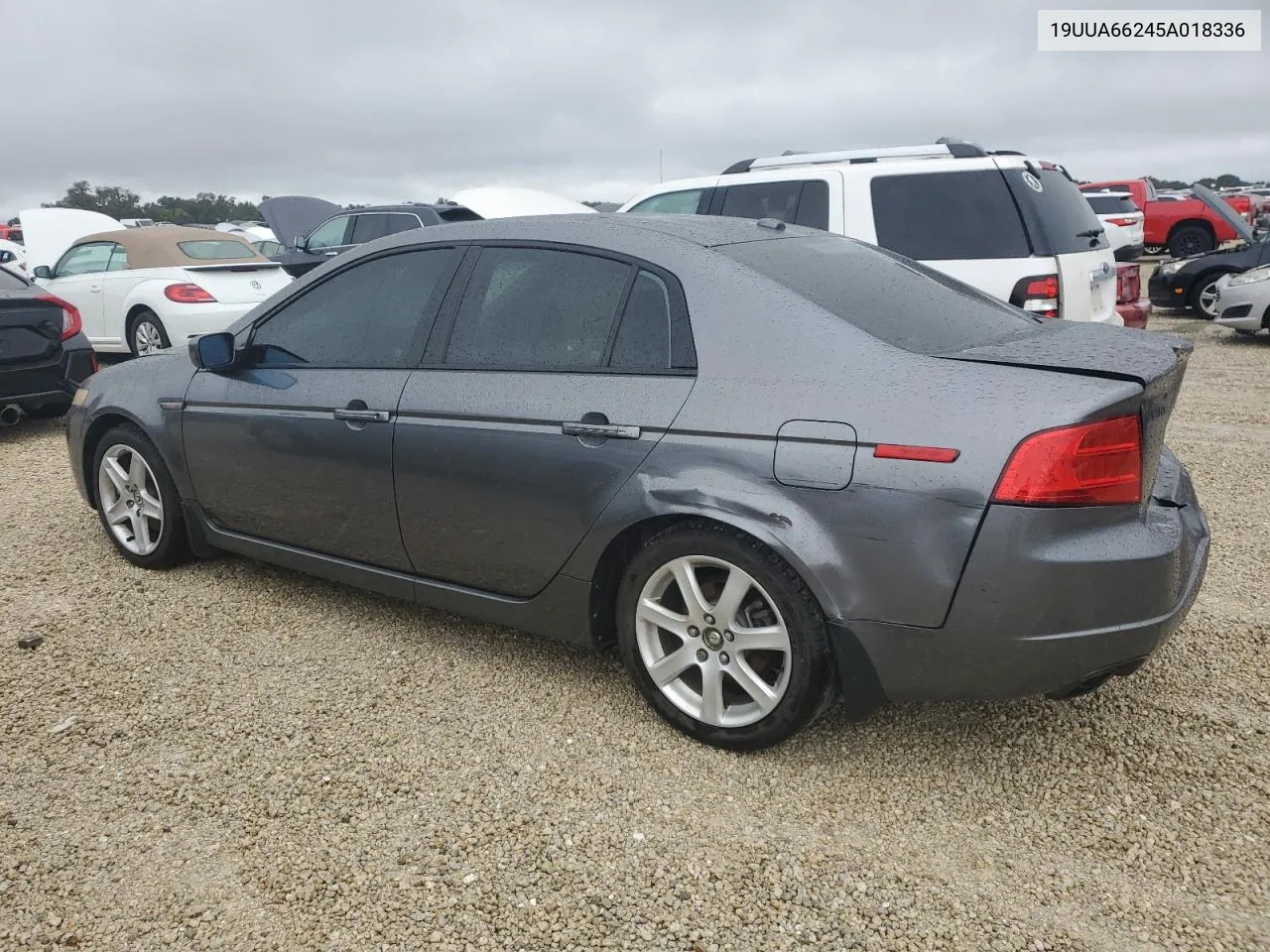 2005 Acura Tl VIN: 19UUA66245A018336 Lot: 74877384