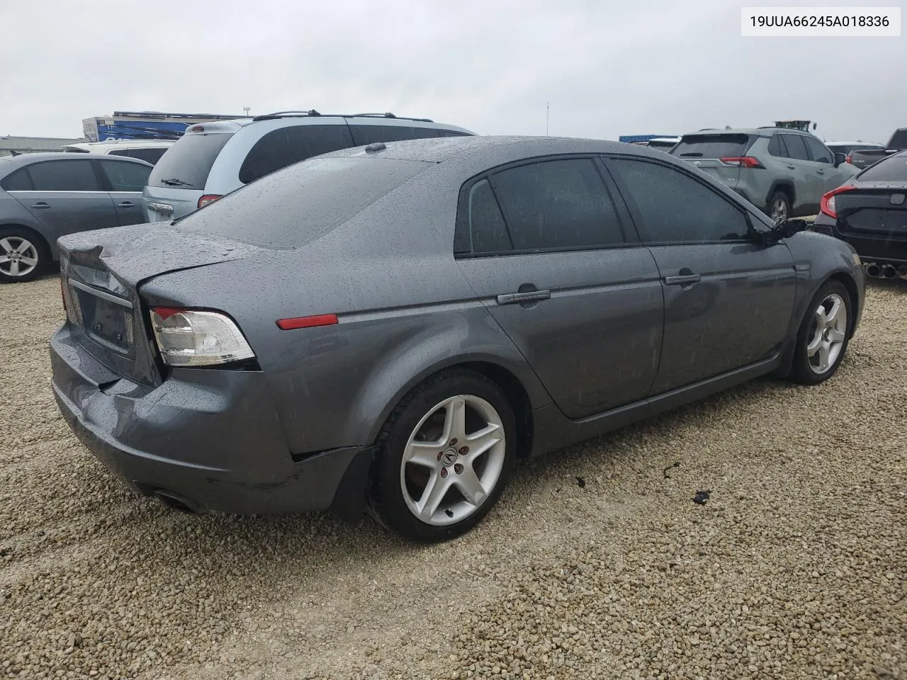 2005 Acura Tl VIN: 19UUA66245A018336 Lot: 74877384