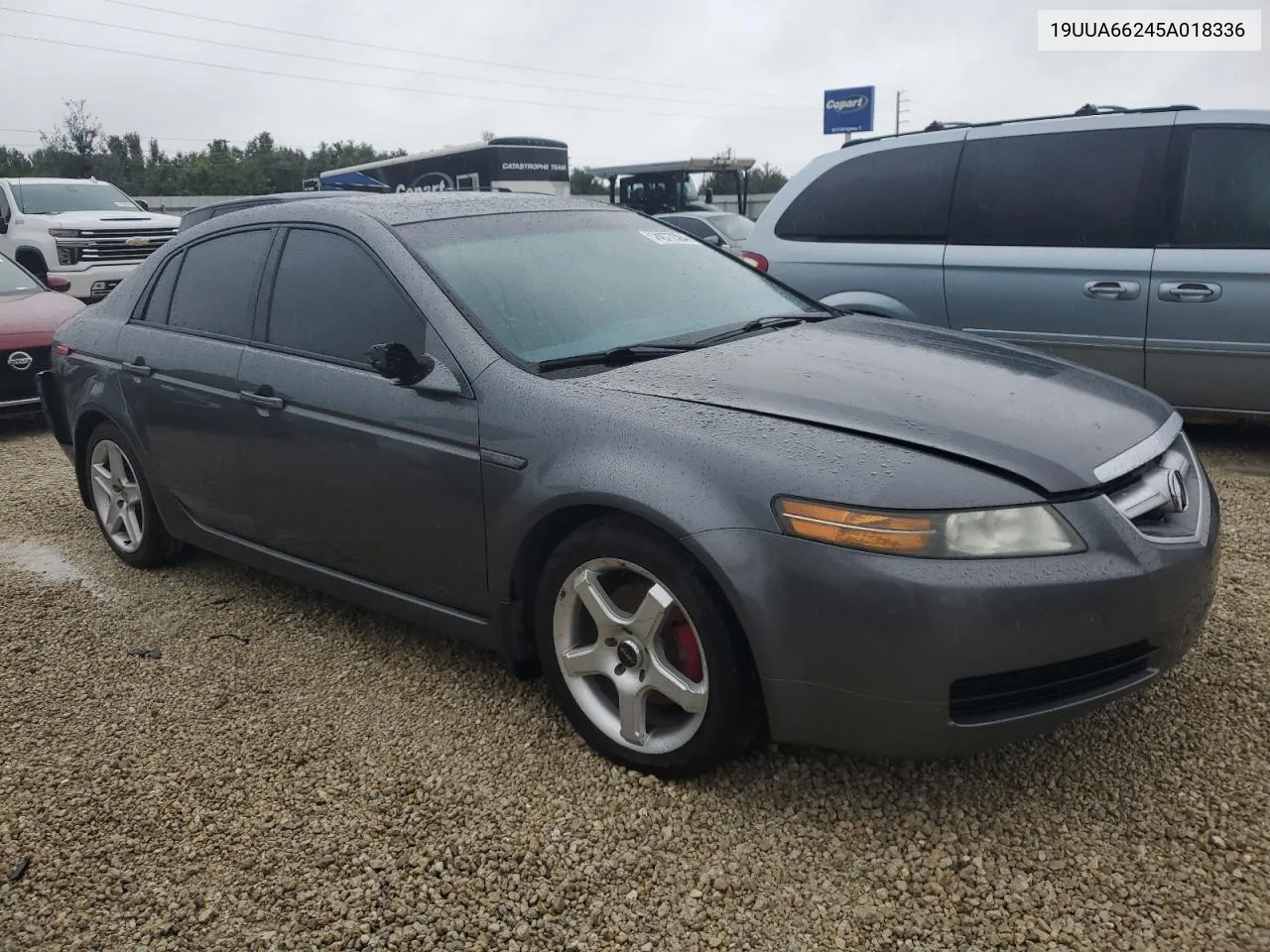 2005 Acura Tl VIN: 19UUA66245A018336 Lot: 74877384