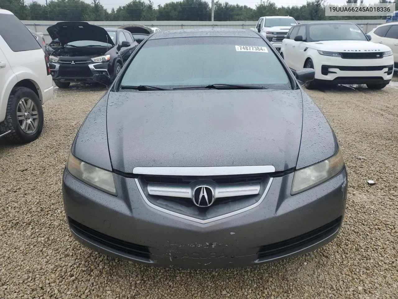 2005 Acura Tl VIN: 19UUA66245A018336 Lot: 74877384