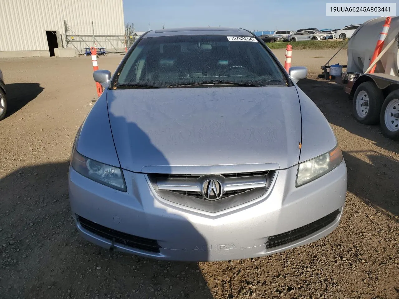 2005 Acura Tl VIN: 19UUA66245A803441 Lot: 75700854