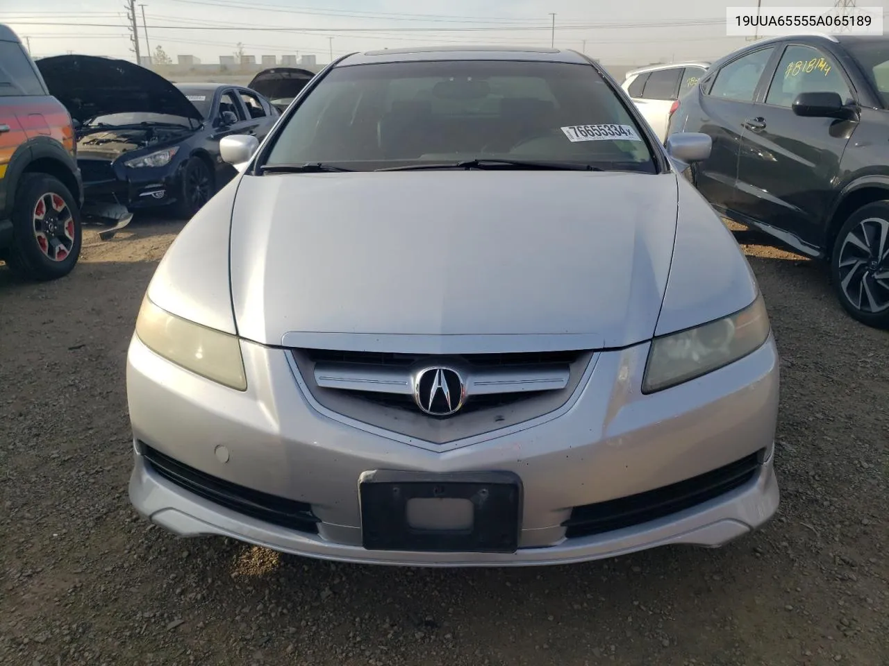 2005 Acura Tl VIN: 19UUA65555A065189 Lot: 76655334