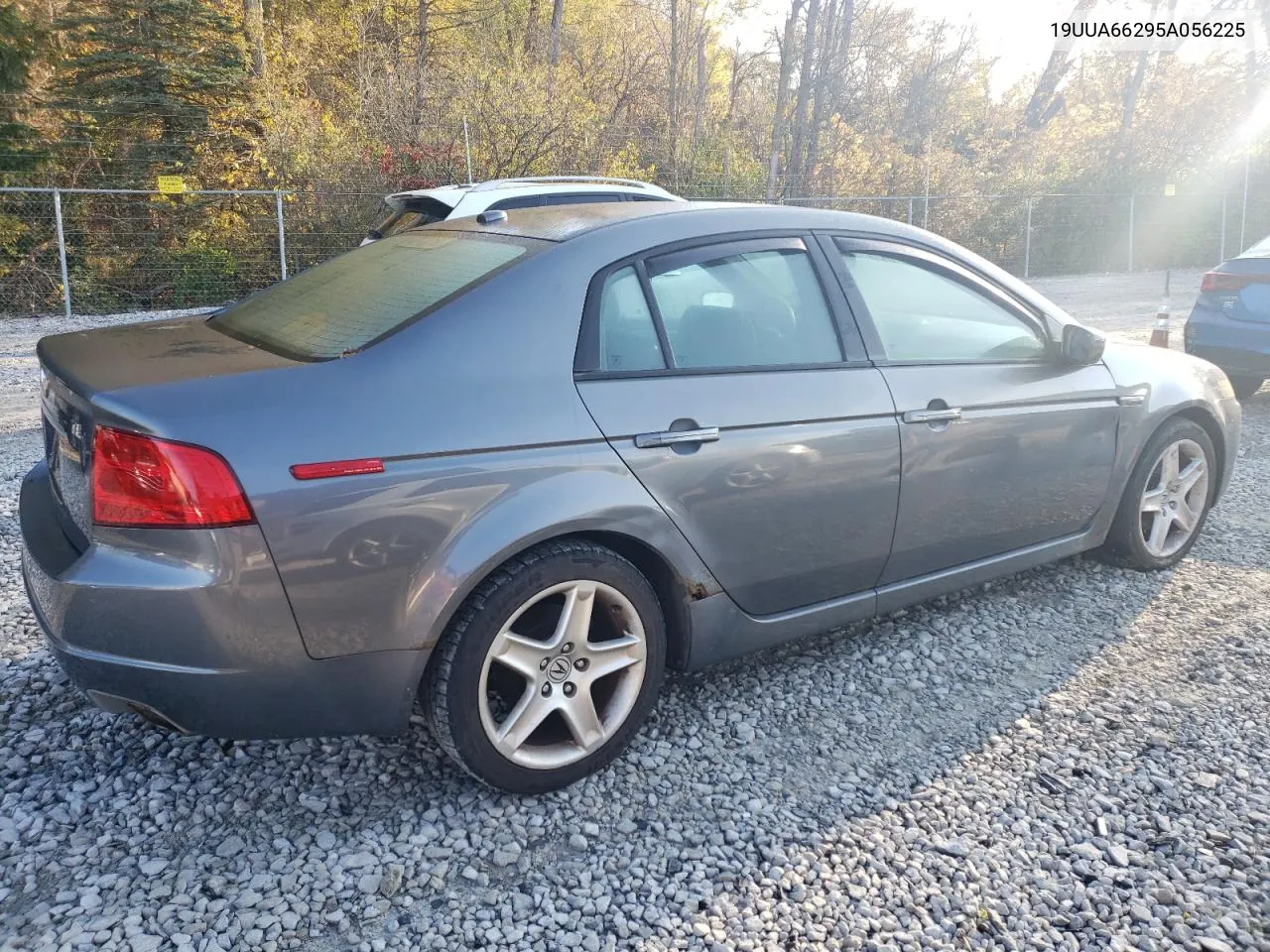 2005 Acura Tl VIN: 19UUA66295A056225 Lot: 76942554