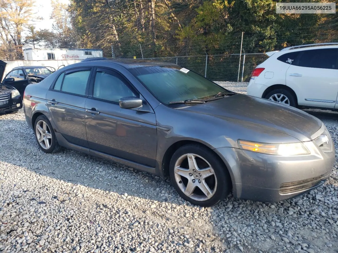 2005 Acura Tl VIN: 19UUA66295A056225 Lot: 76942554