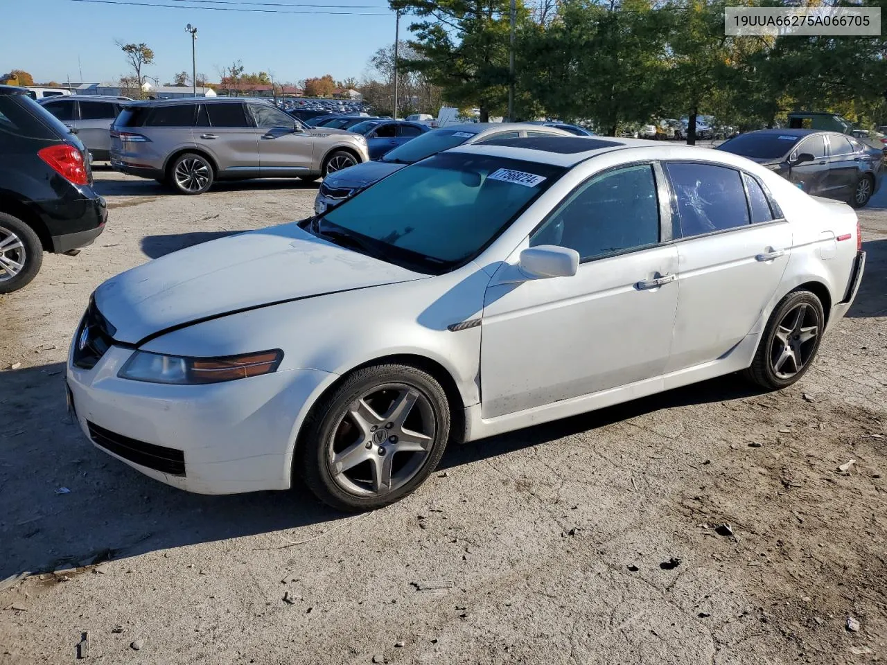 2005 Acura Tl VIN: 19UUA66275A066705 Lot: 77568224