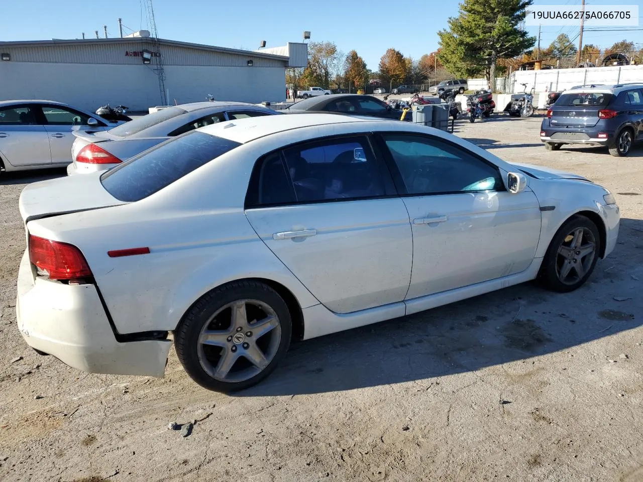 2005 Acura Tl VIN: 19UUA66275A066705 Lot: 77568224