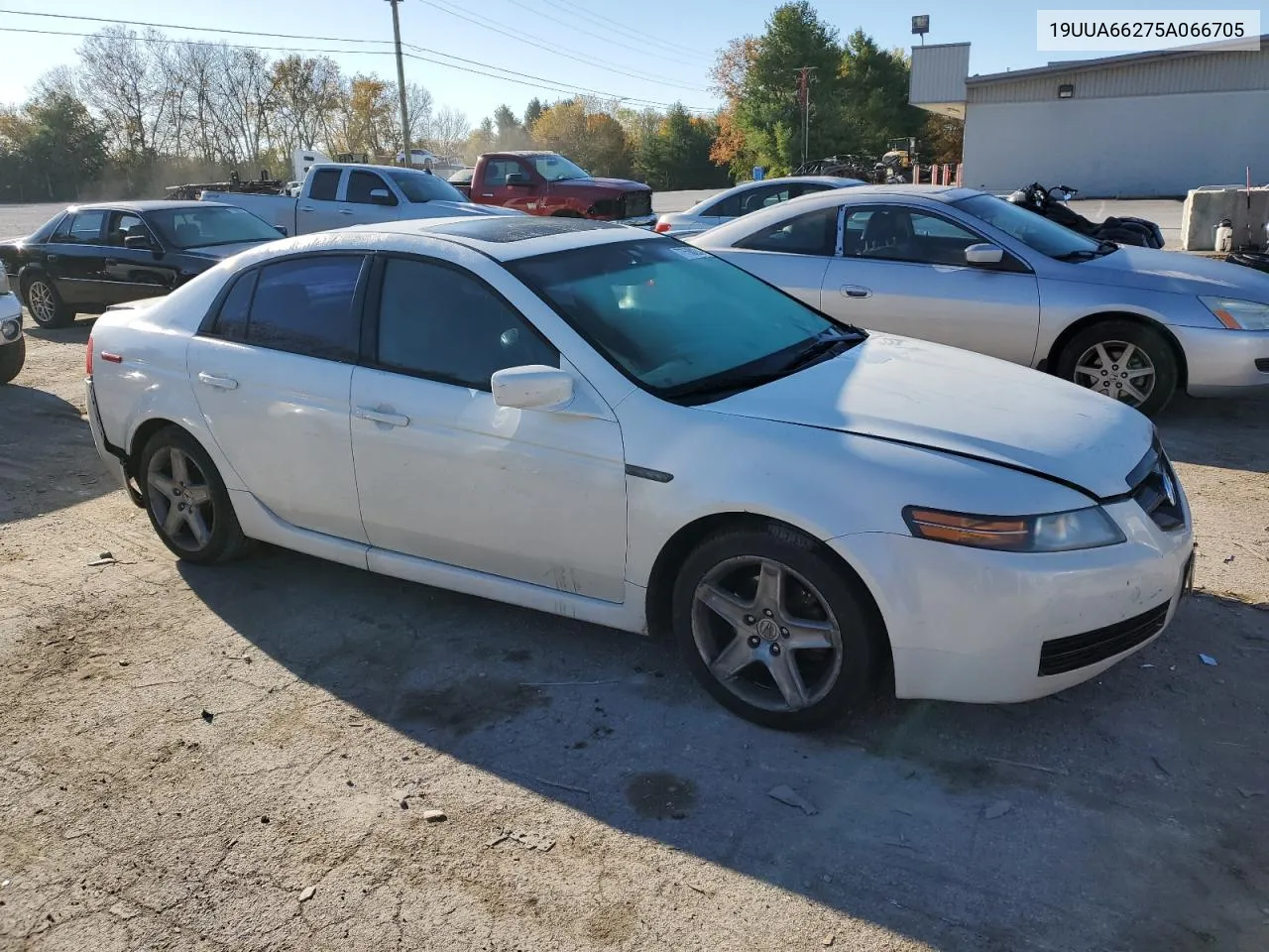 2005 Acura Tl VIN: 19UUA66275A066705 Lot: 77568224