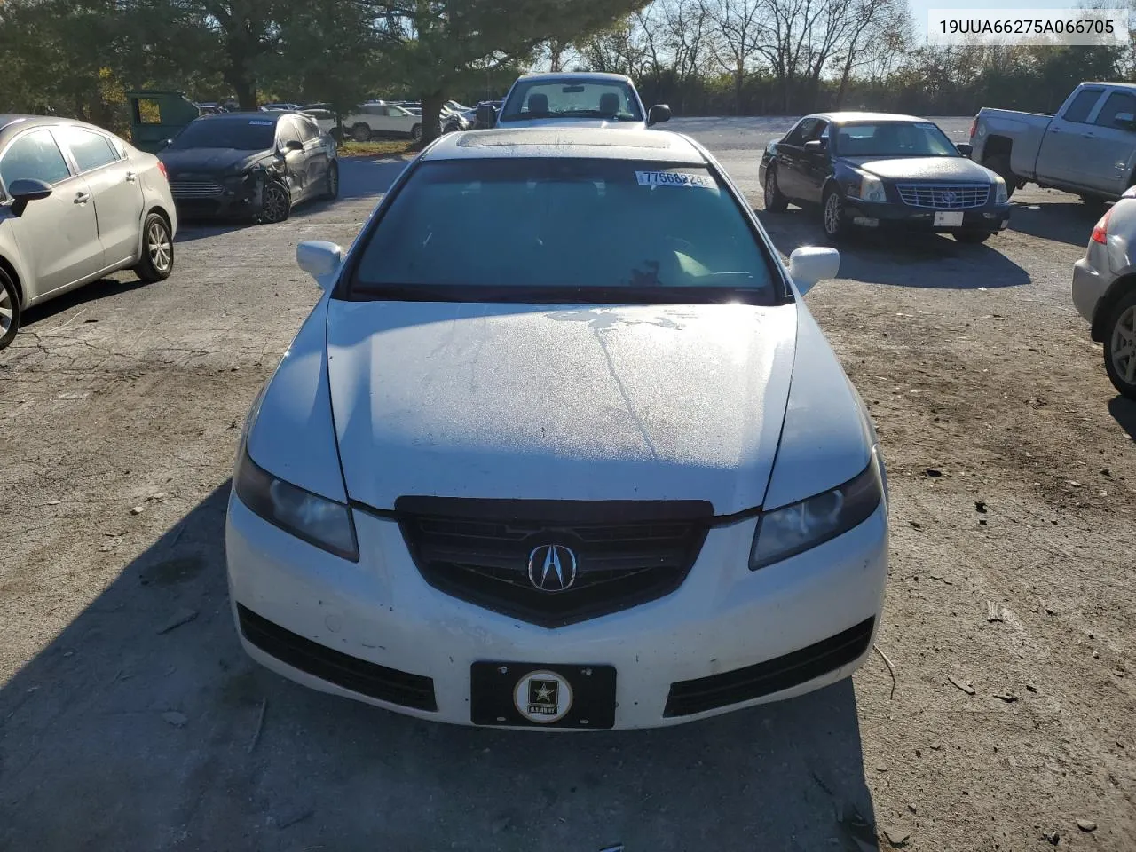 2005 Acura Tl VIN: 19UUA66275A066705 Lot: 77568224