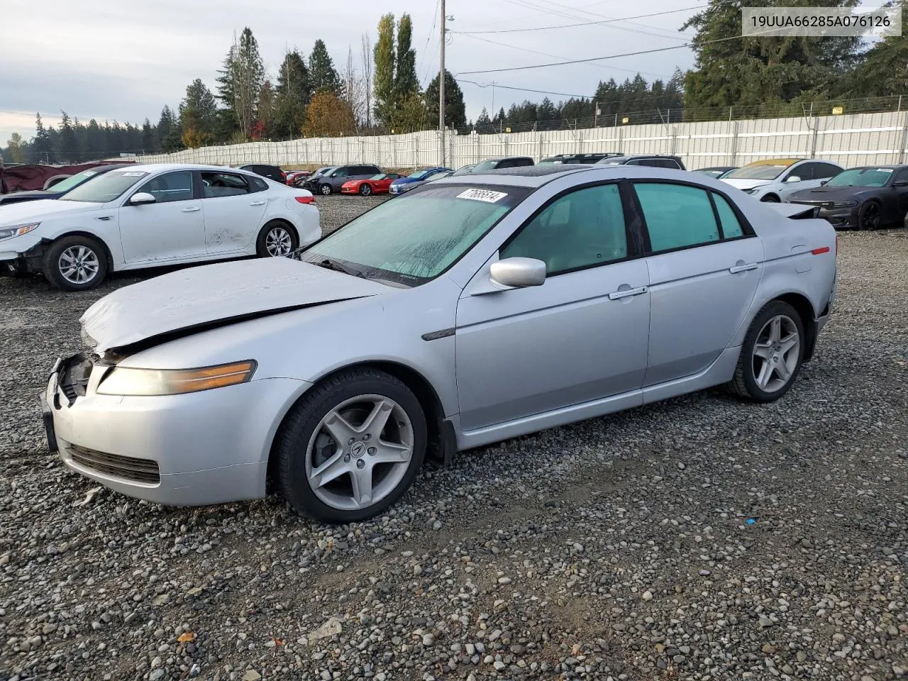 2005 Acura Tl VIN: 19UUA66285A076126 Lot: 77685514