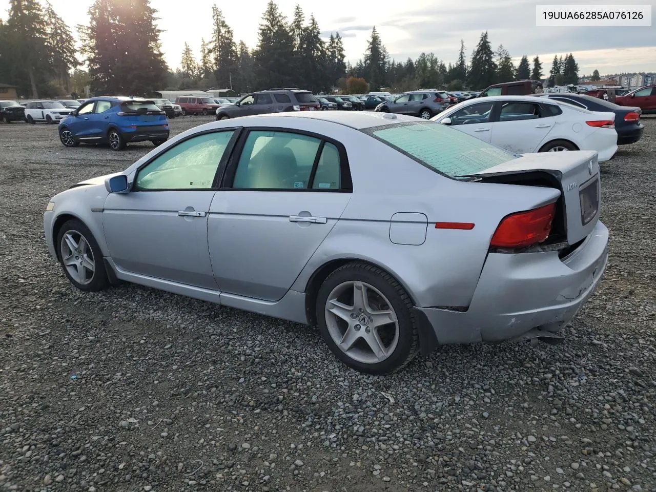 2005 Acura Tl VIN: 19UUA66285A076126 Lot: 77685514