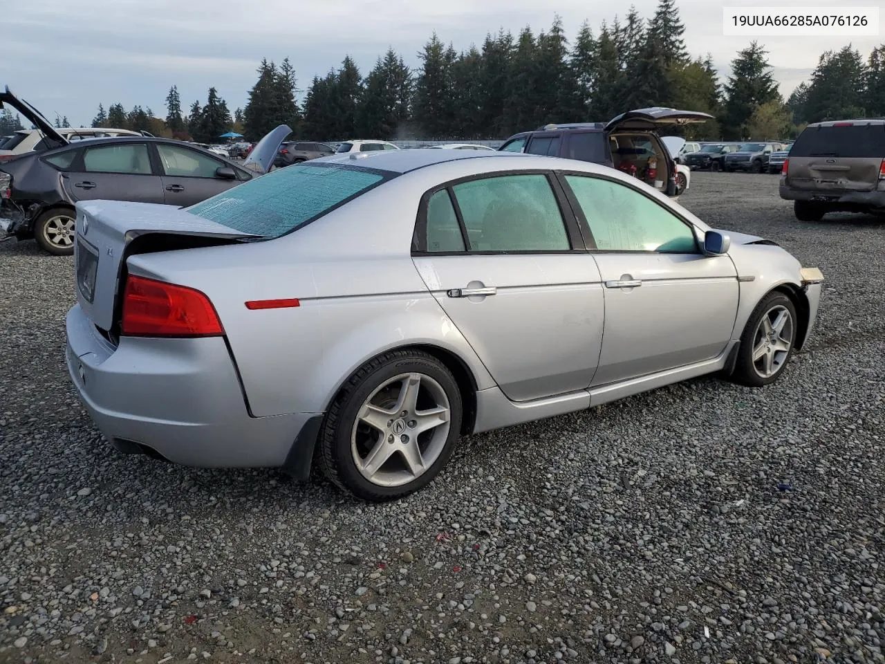 2005 Acura Tl VIN: 19UUA66285A076126 Lot: 77685514