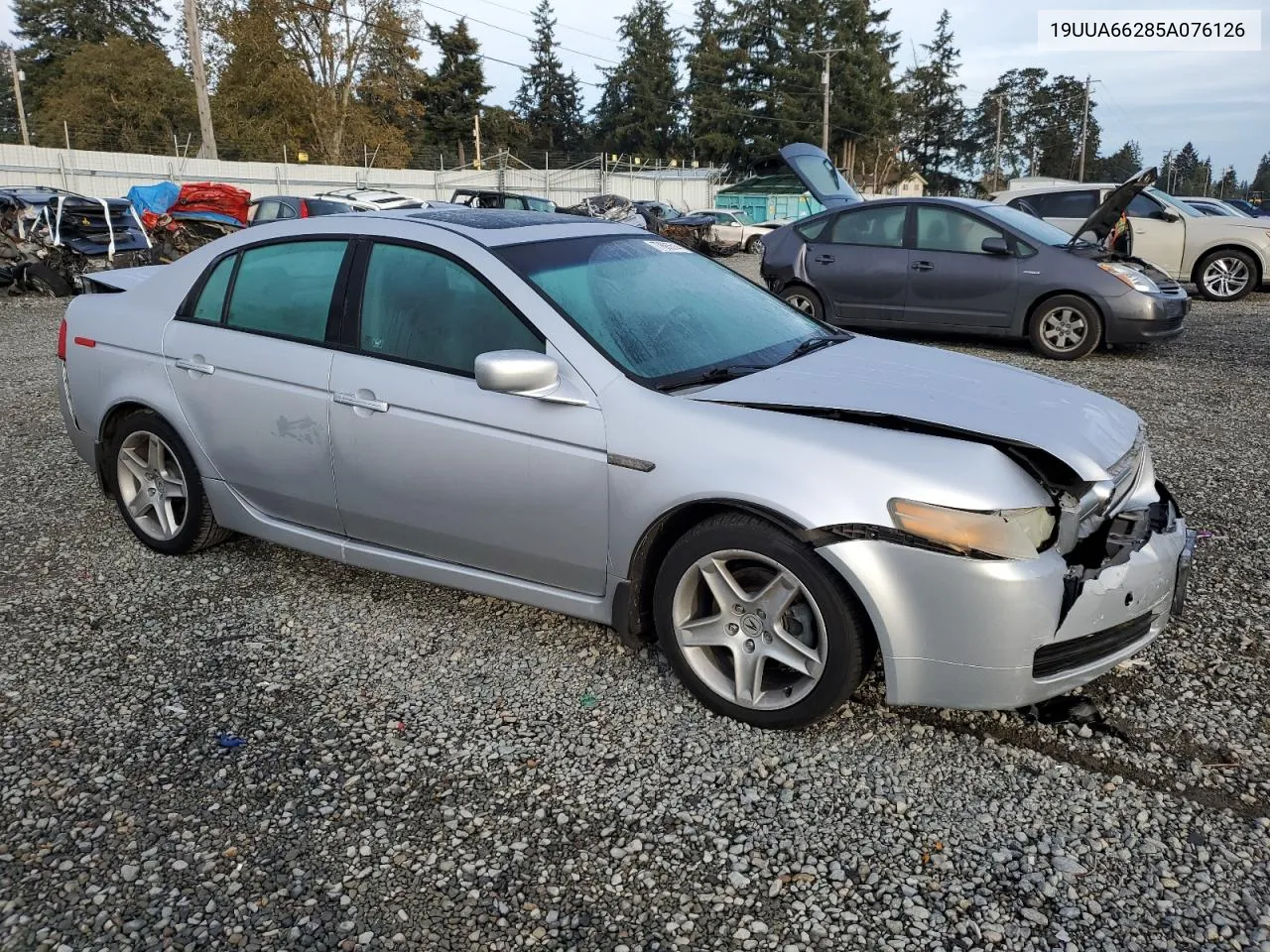 2005 Acura Tl VIN: 19UUA66285A076126 Lot: 77685514