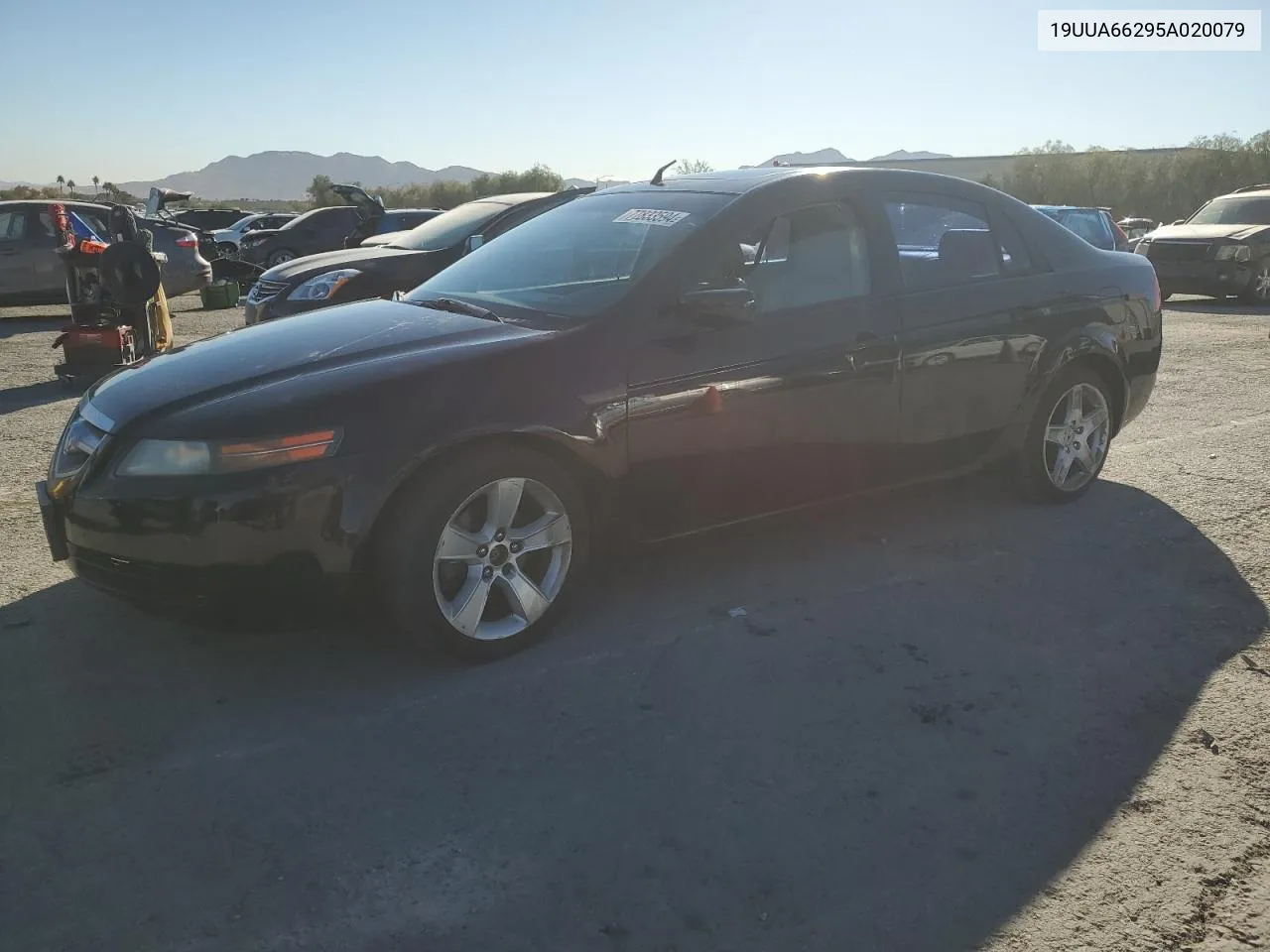 2005 Acura Tl VIN: 19UUA66295A020079 Lot: 77833594