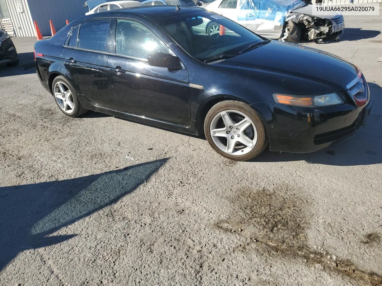 2005 Acura Tl VIN: 19UUA66295A020079 Lot: 77833594