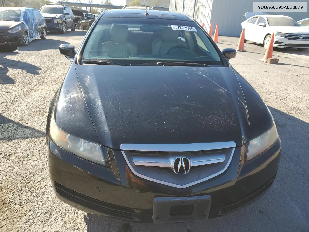 2005 Acura Tl VIN: 19UUA66295A020079 Lot: 77833594