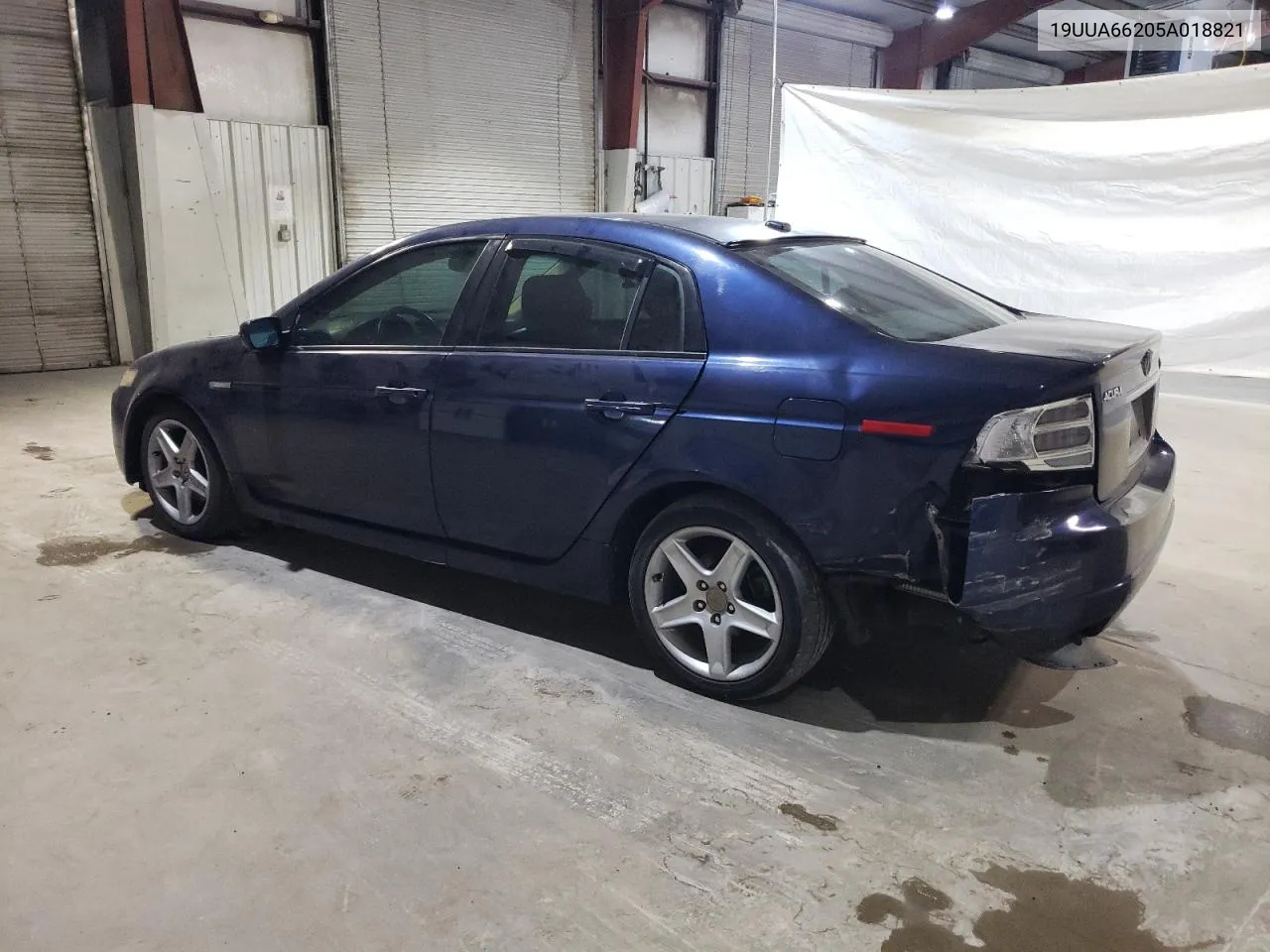 2005 Acura Tl VIN: 19UUA66205A018821 Lot: 78981544