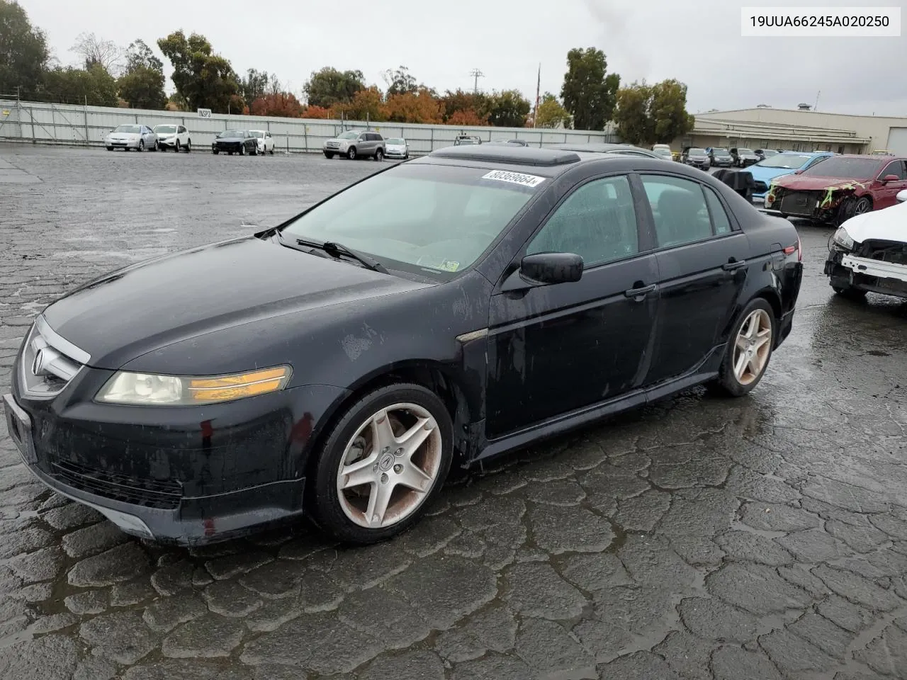 2005 Acura Tl VIN: 19UUA66245A020250 Lot: 80369664