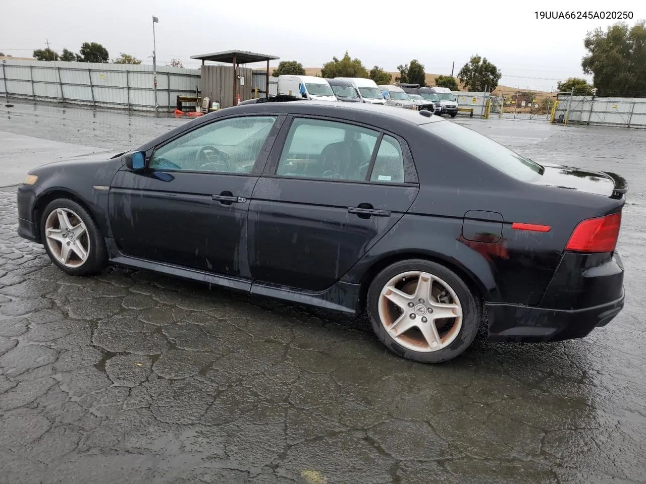 2005 Acura Tl VIN: 19UUA66245A020250 Lot: 80369664