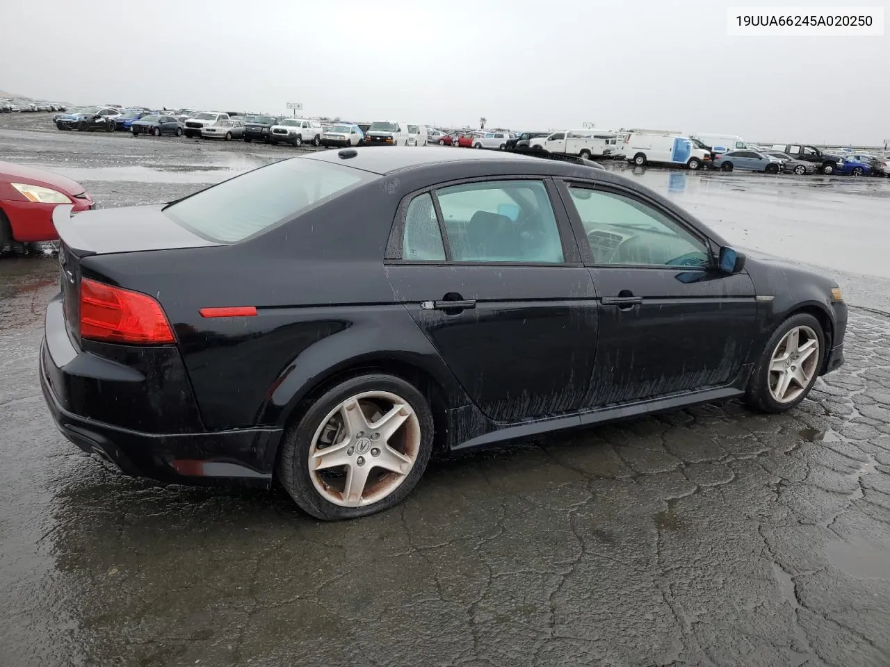 2005 Acura Tl VIN: 19UUA66245A020250 Lot: 80369664