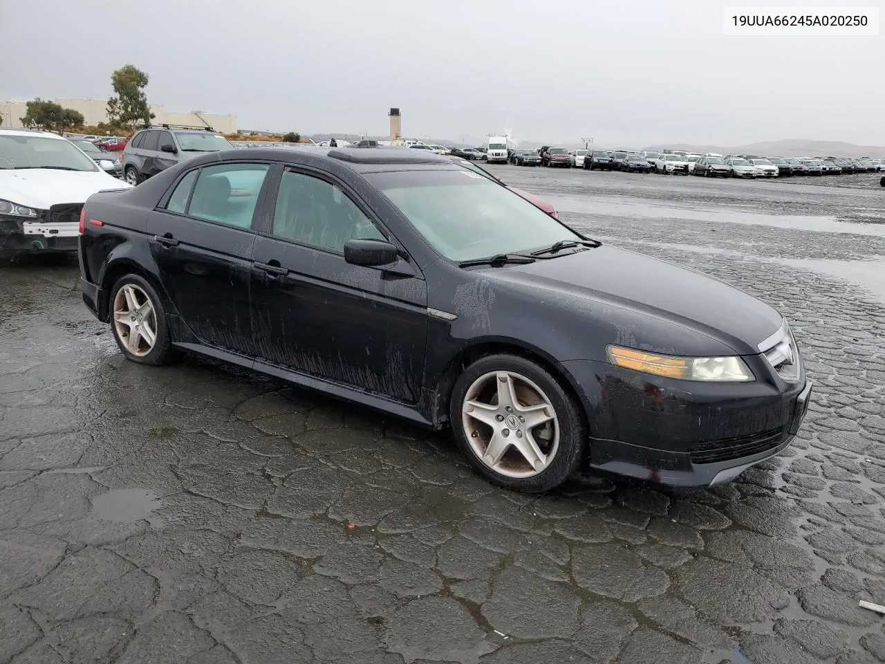 2005 Acura Tl VIN: 19UUA66245A020250 Lot: 80369664