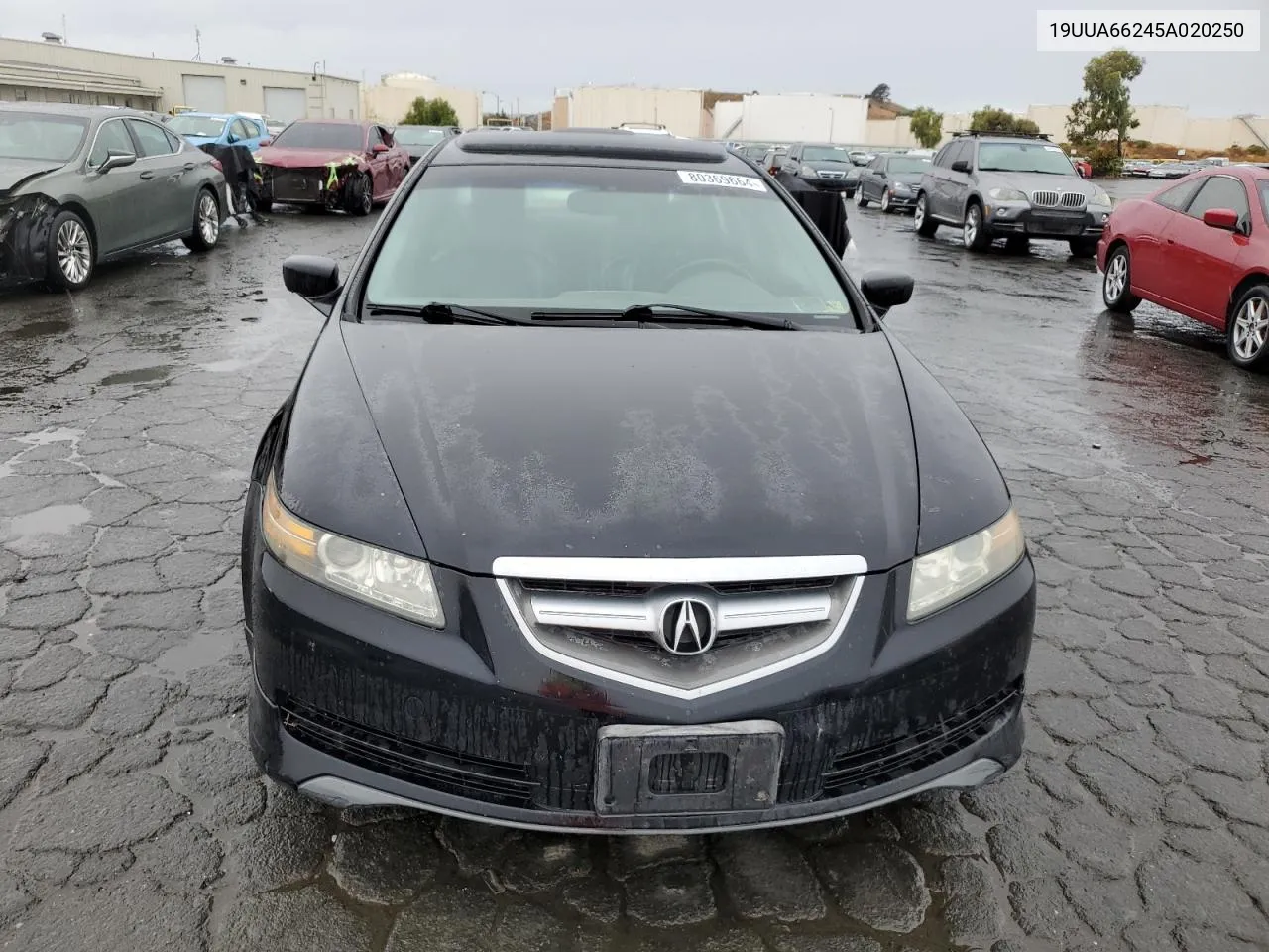 2005 Acura Tl VIN: 19UUA66245A020250 Lot: 80369664