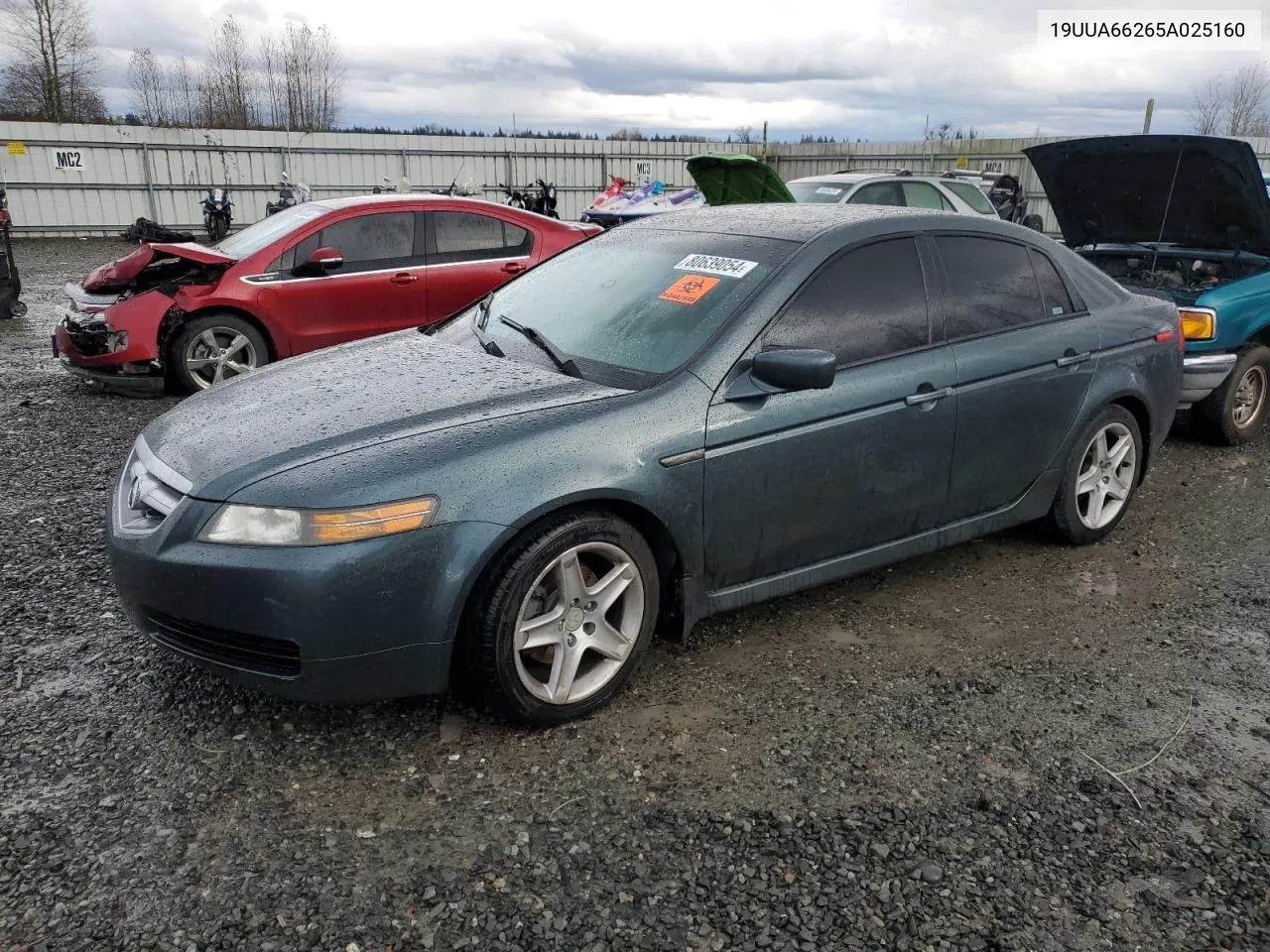 2005 Acura Tl VIN: 19UUA66265A025160 Lot: 80639054