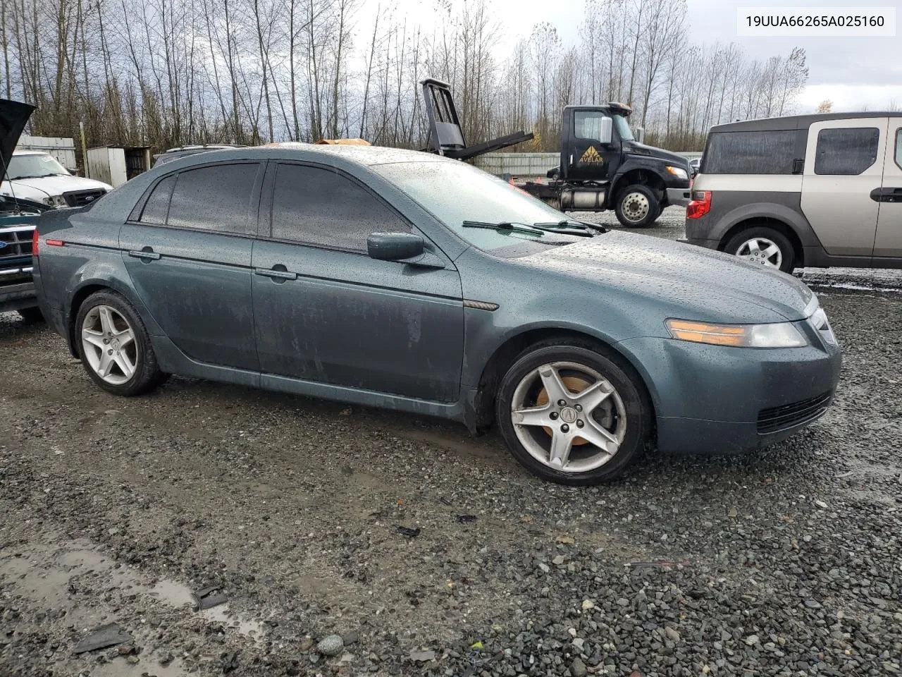 2005 Acura Tl VIN: 19UUA66265A025160 Lot: 80639054