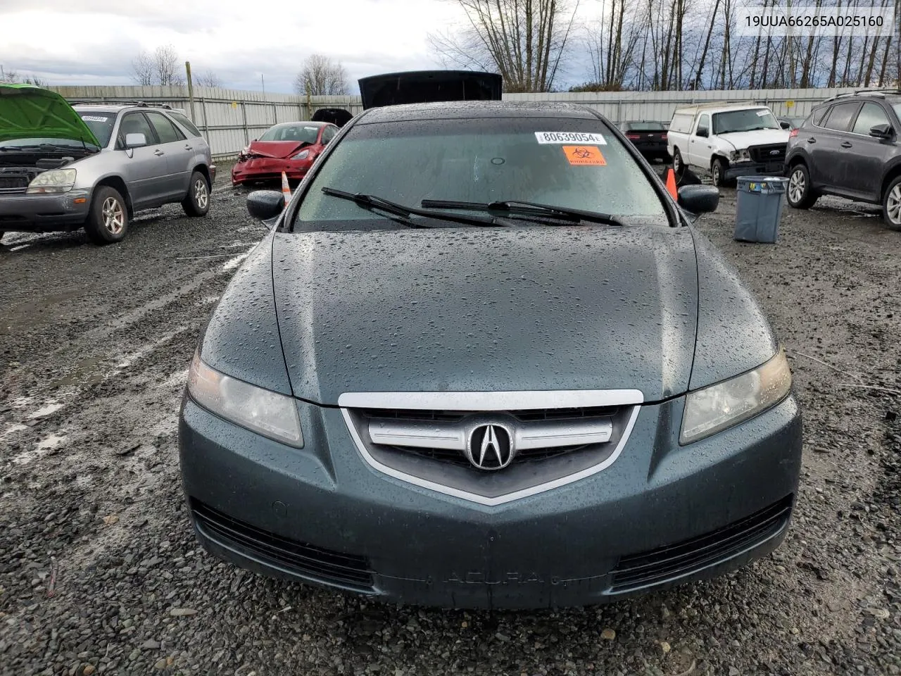 2005 Acura Tl VIN: 19UUA66265A025160 Lot: 80639054