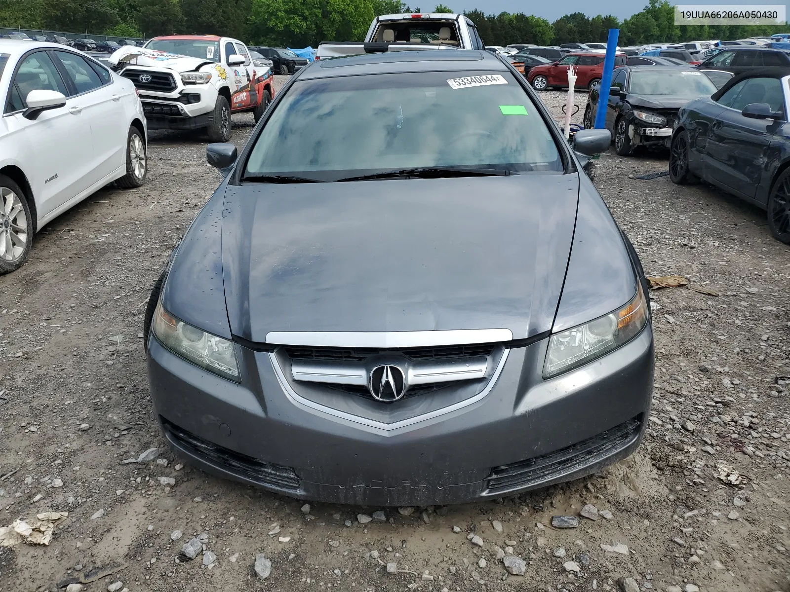 2006 Acura 3.2Tl VIN: 19UUA66206A050430 Lot: 53340644