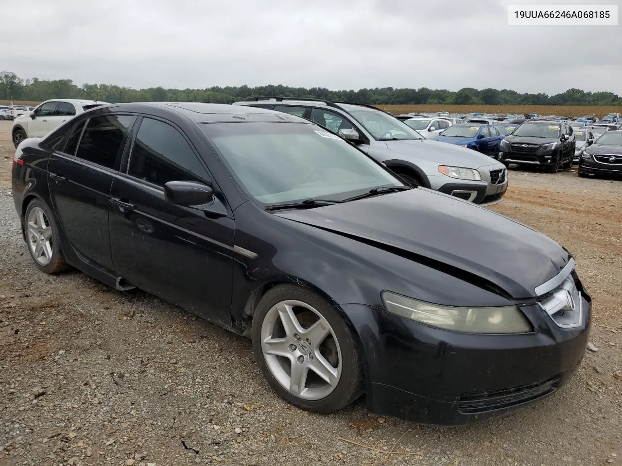 2006 Acura 3.2Tl VIN: 19UUA66246A068185 Lot: 64061164