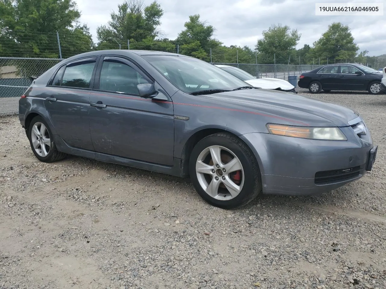 2006 Acura 3.2Tl VIN: 19UUA66216A046905 Lot: 70751884