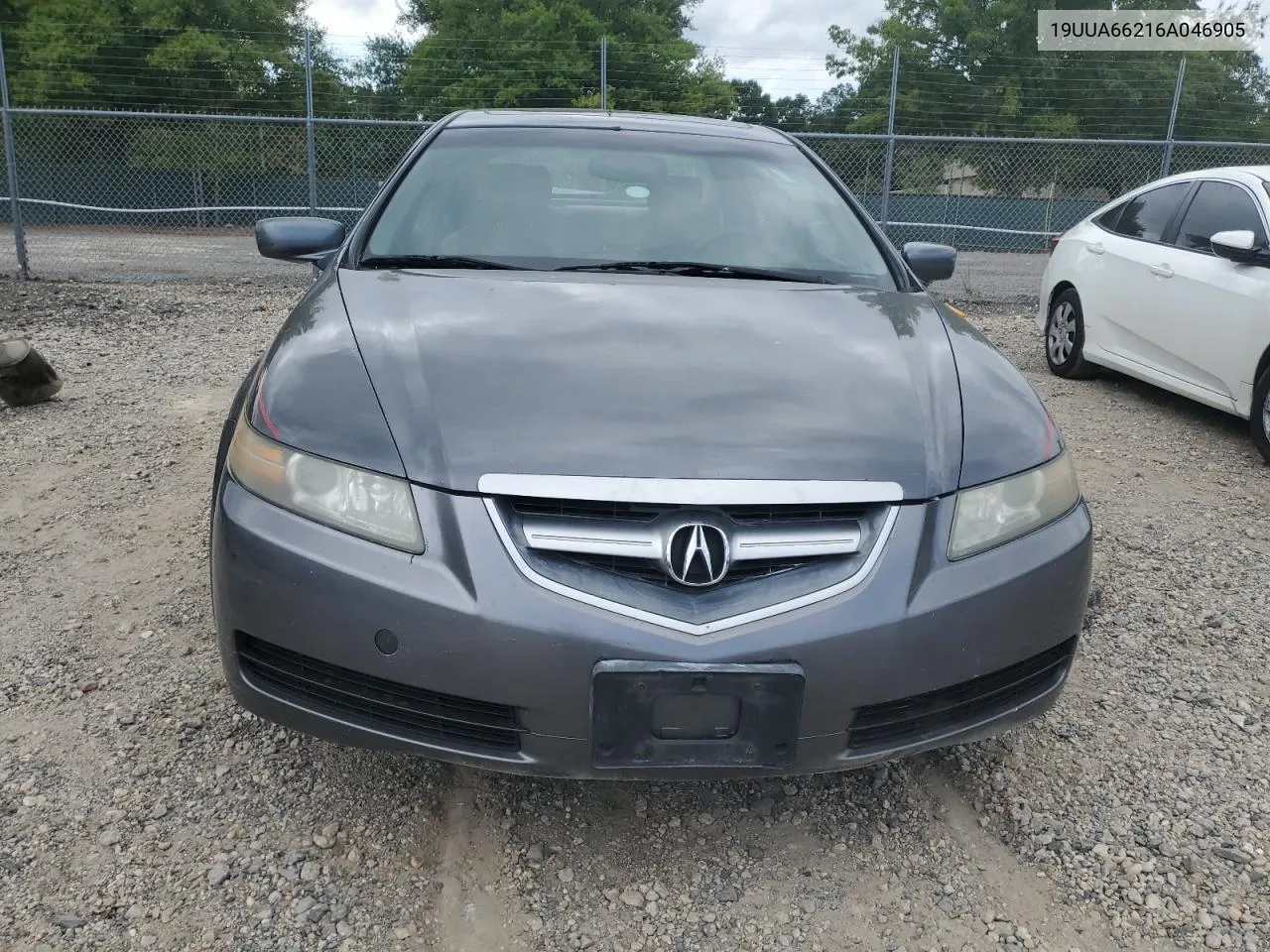 2006 Acura 3.2Tl VIN: 19UUA66216A046905 Lot: 70751884