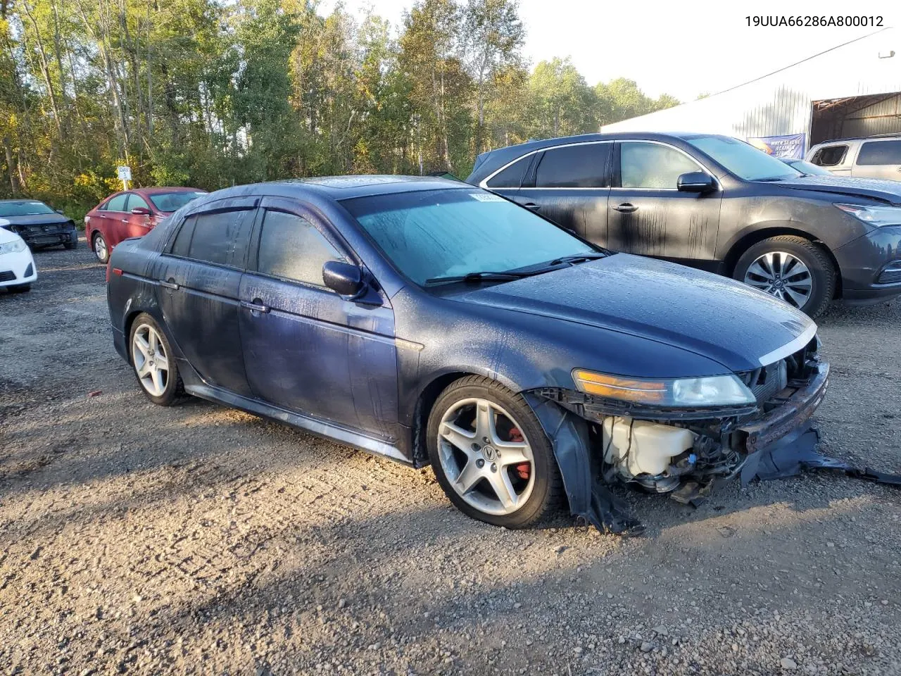 2006 Acura 3.2Tl VIN: 19UUA66286A800012 Lot: 72958274