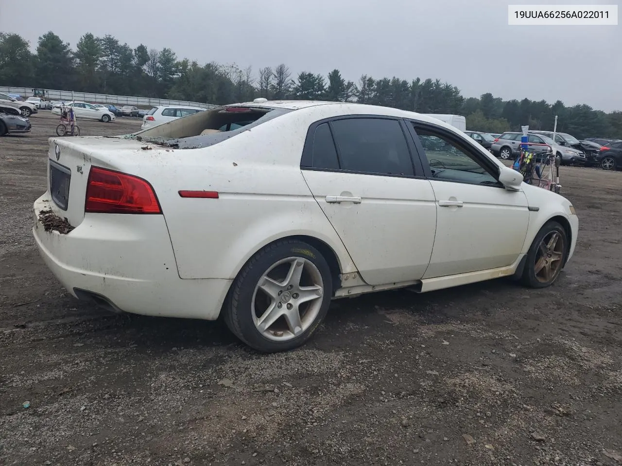 2006 Acura 3.2Tl VIN: 19UUA66256A022011 Lot: 73536584