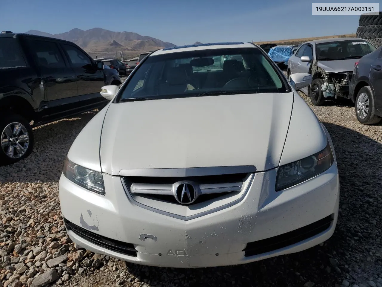 2007 Acura Tl VIN: 19UUA66217A003151 Lot: 75495924