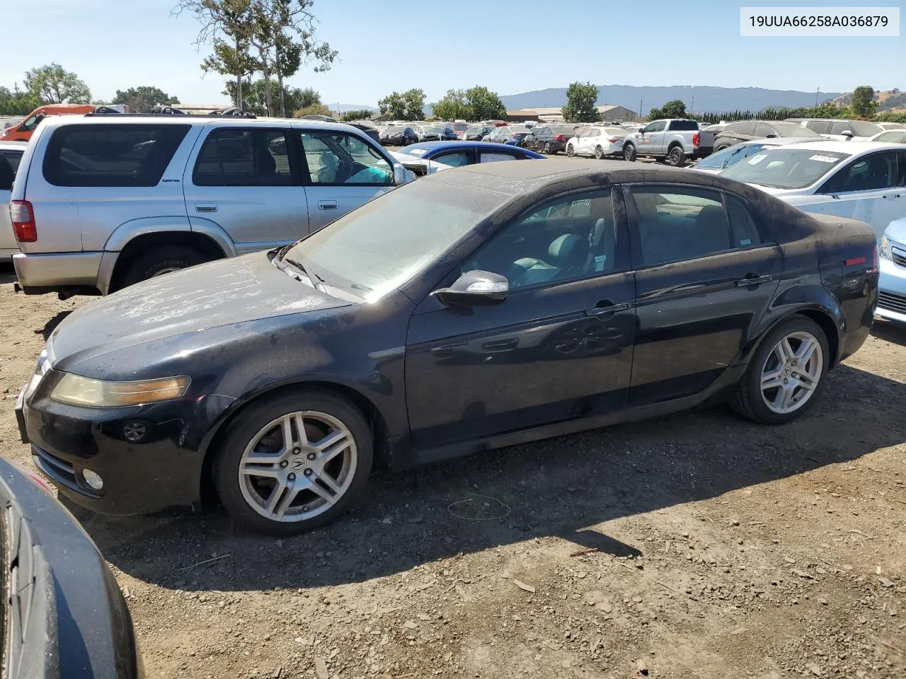 2008 Acura Tl VIN: 19UUA66258A036879 Lot: 65214834