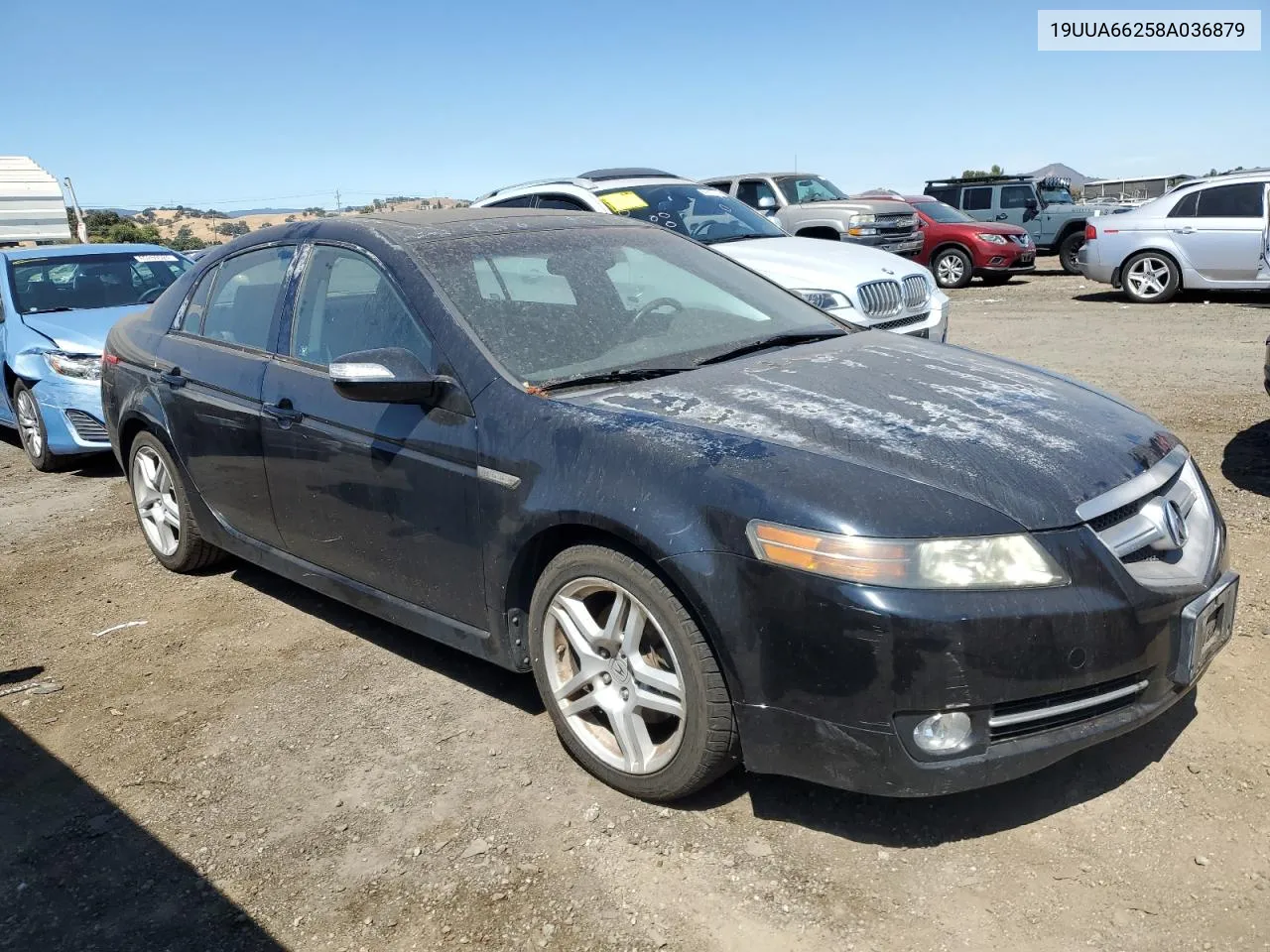 2008 Acura Tl VIN: 19UUA66258A036879 Lot: 65214834